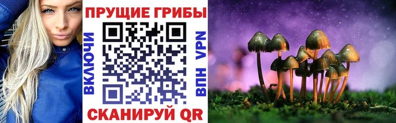 цены   Скопин  Псилоцибиновые грибы Magic Shrooms 